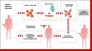 Figure 1: How Genetix’ gene therapy works